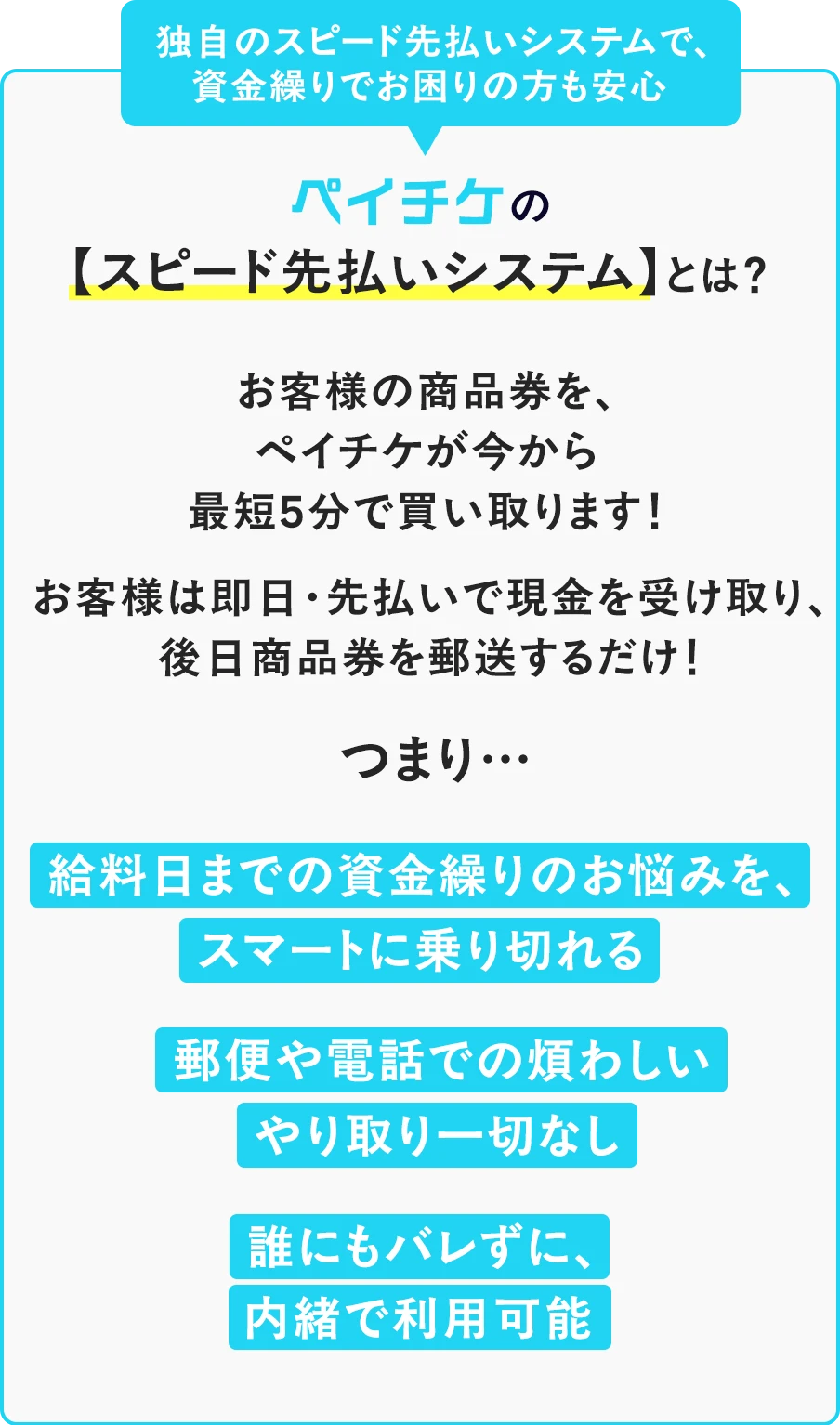 ペイチケのシステム
